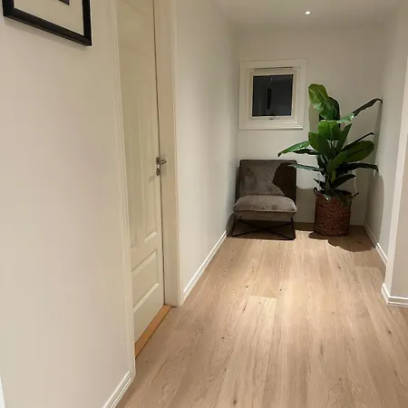Modern And Comfortable In