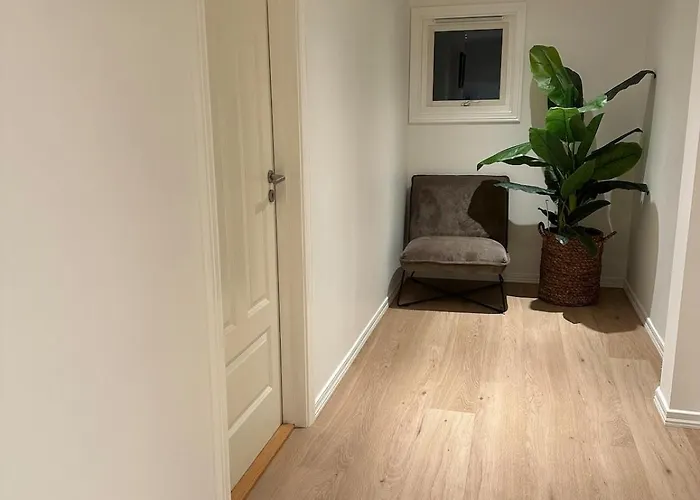Modern And Comfortable In